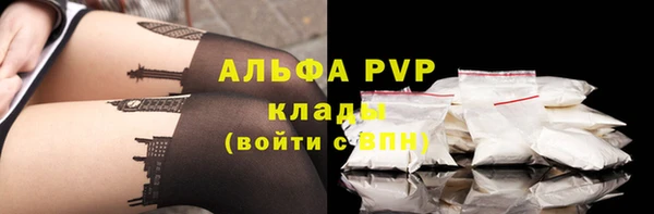 спиды Няндома