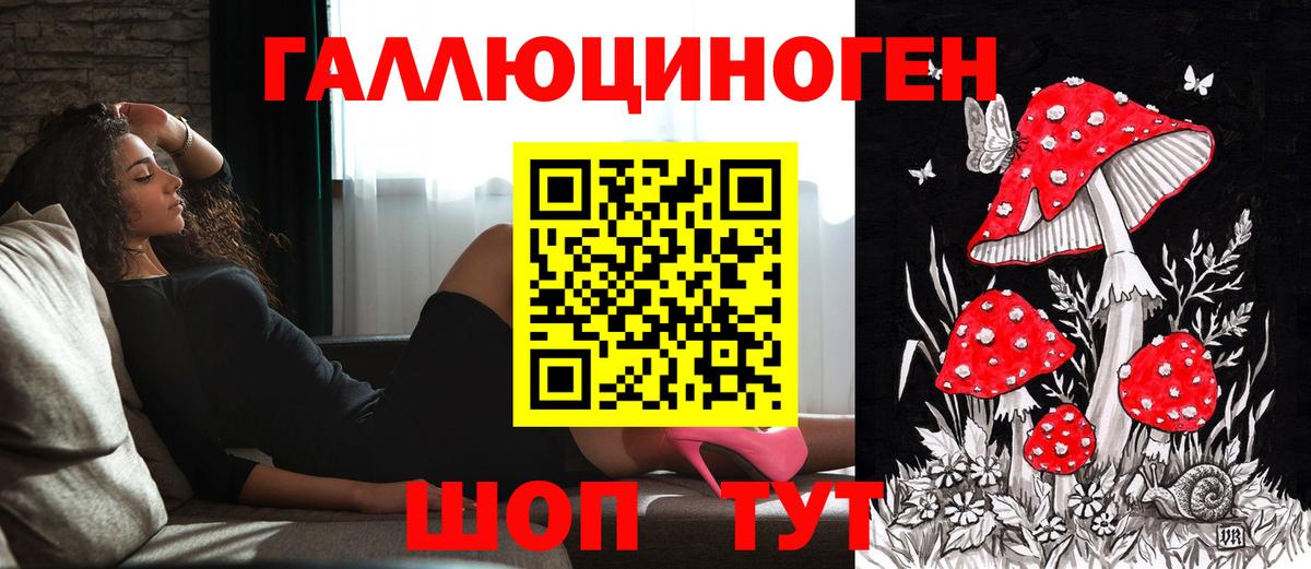 Галлюциногенные грибы Psilocybe Новоуральск